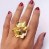 Anillo Doble Flor Modelo Moiras