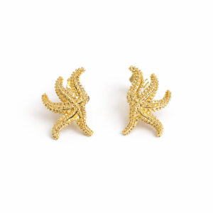 Aretes topo starfish